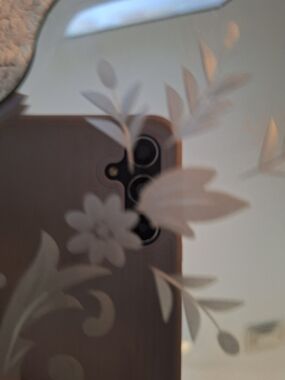 Etched Floral Glass Mirror with Frosted Leaf Design Set Of 2